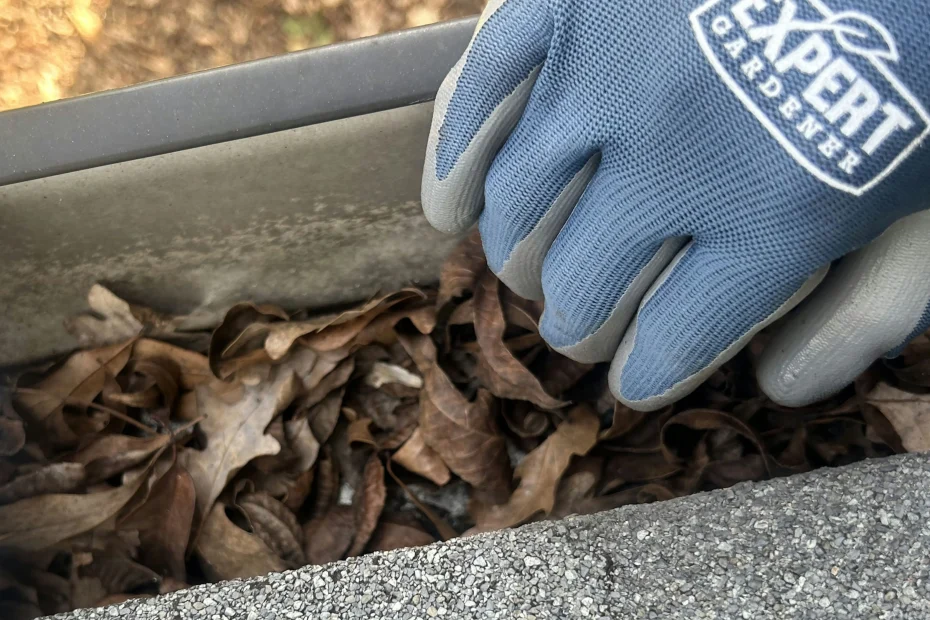 Gutter Cleaning Springfield VA