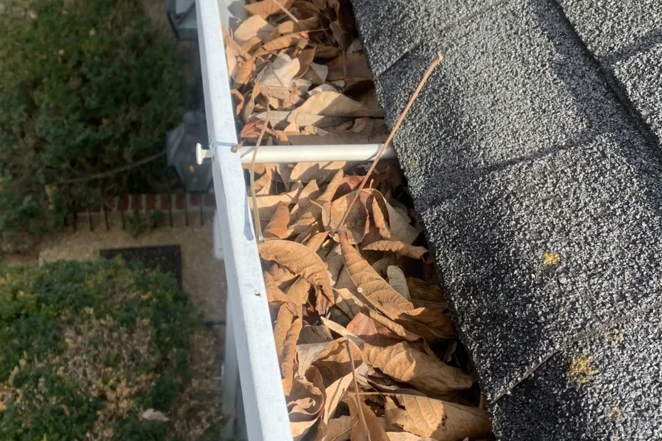 Gutter Cleaning Springfield VA