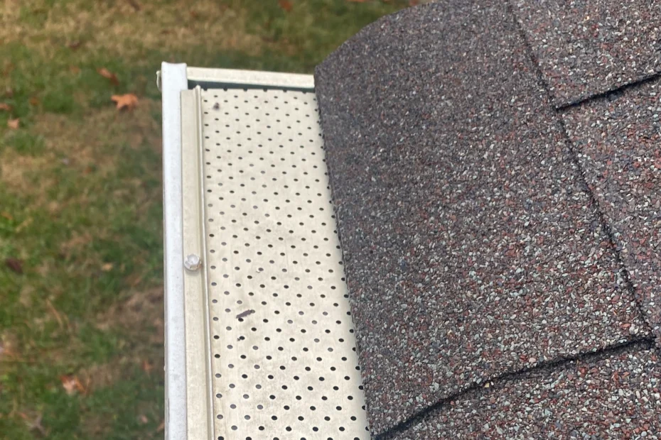 Gutter Cleaning Springfield VA